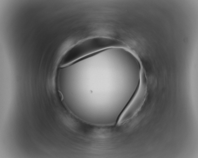 X0000113540340200910021354