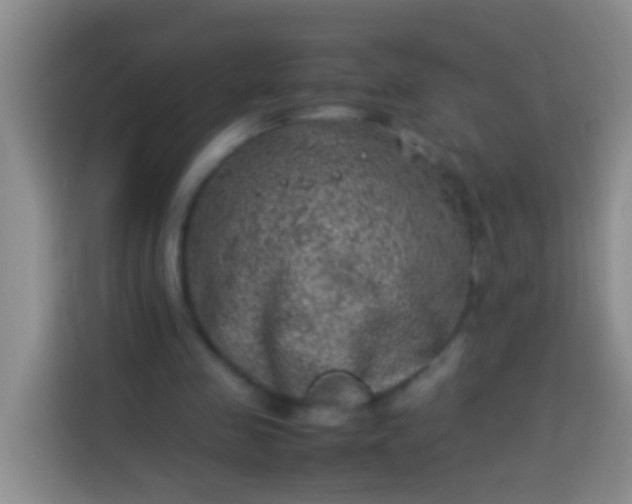 X0000113540341200910021354