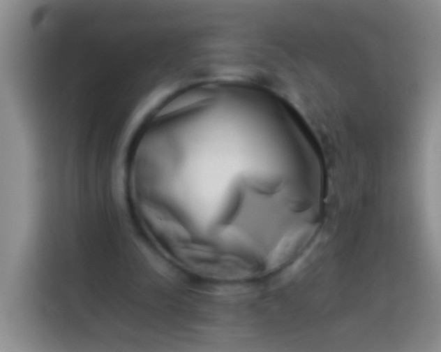 X0000113540342200910021354