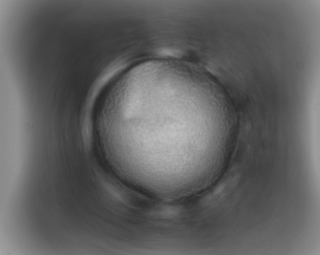 X0000113540343200910021354