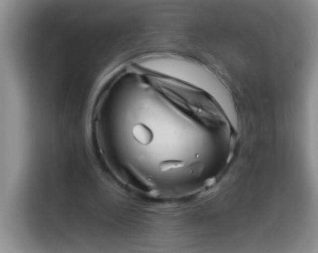 X0000113540344200910021354