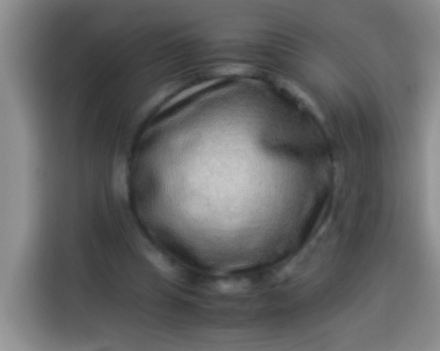 X0000113540345200910021354