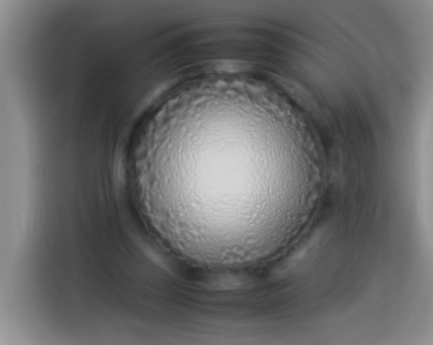 X0000113540347200910021354