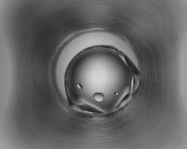 X0000113540350200910021354