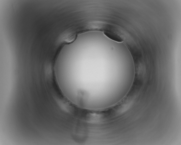 X0000113540352200910021354