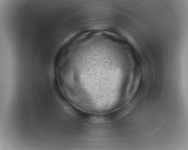 X0000113540354200910021354