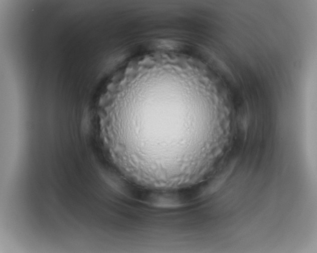 X0000113540359200910021354