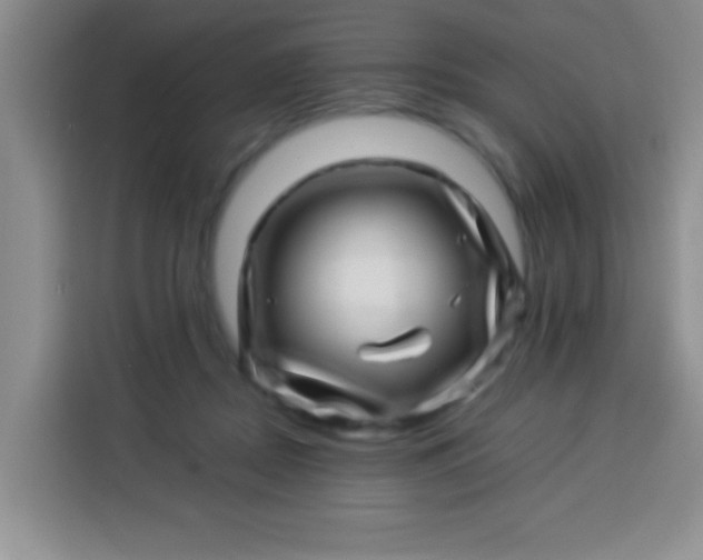 X0000113540362200910021354