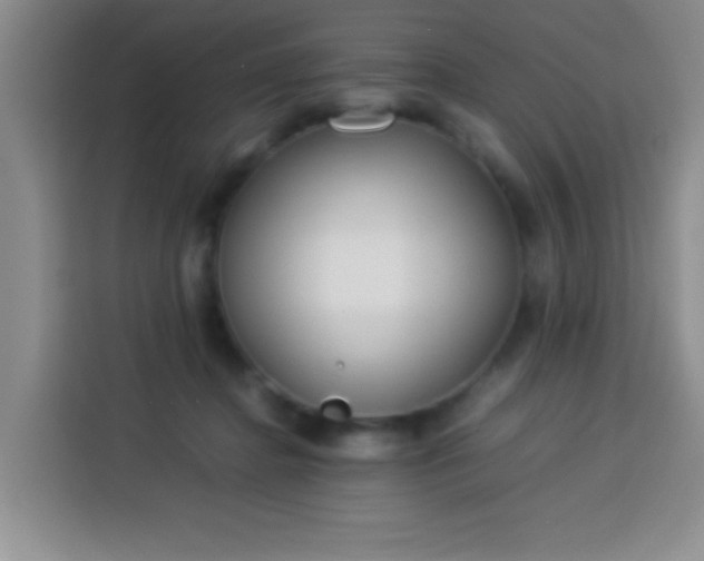 X0000113540364200910021354