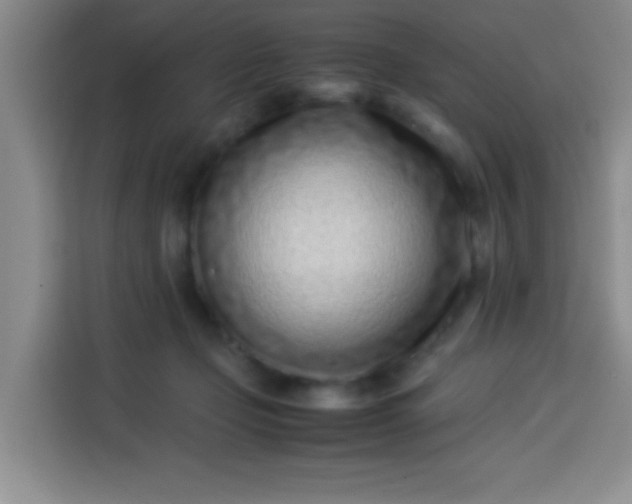 X0000113540365200910021354