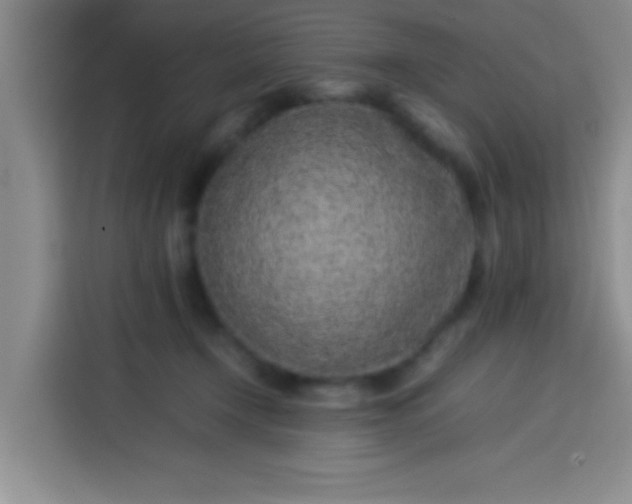 X0000113540366200910021354