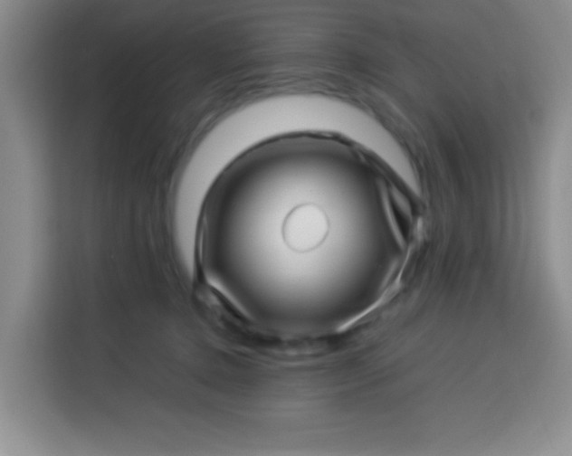 X0000113540368200910021354