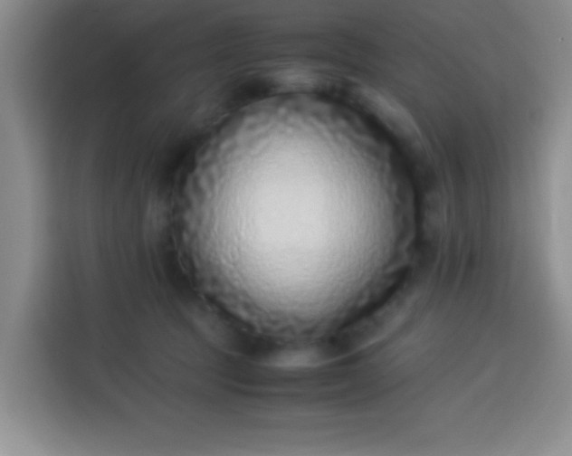 X0000113540369200910021354