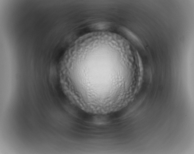 X0000113540373200910021354