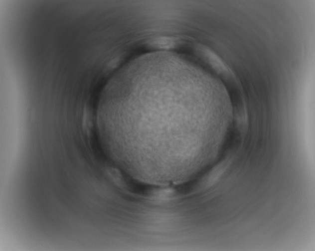 X0000113540374200910021354