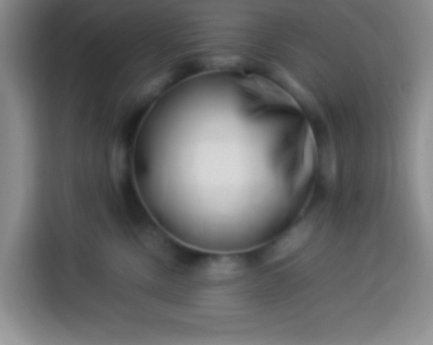 X0000113540378200910021354