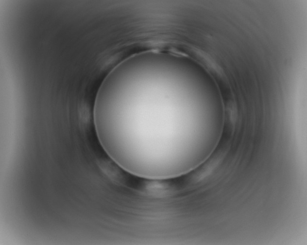 X0000113540380200910021354