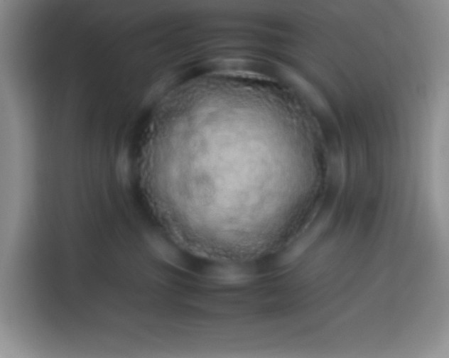 X0000113540381200910021354