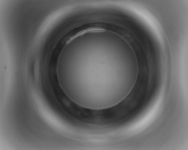 X0000113540382200910021354