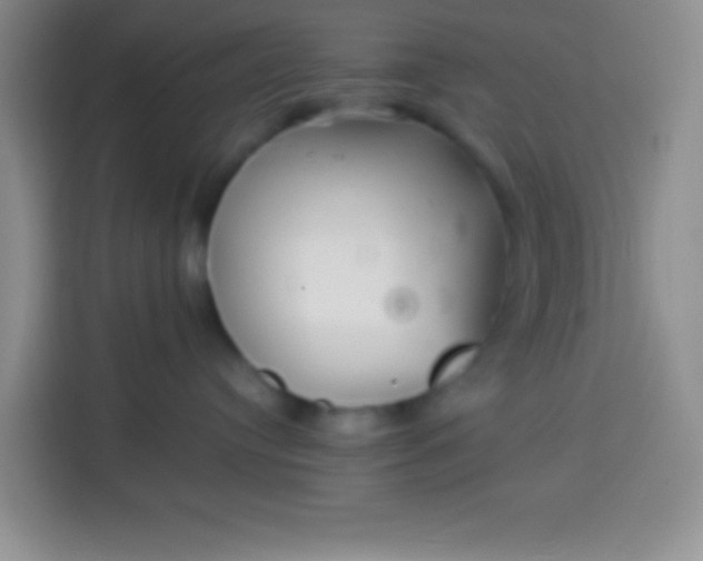 X0000113540384200910021354