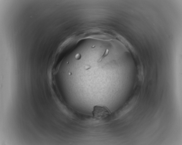 X0000113540386200910021354