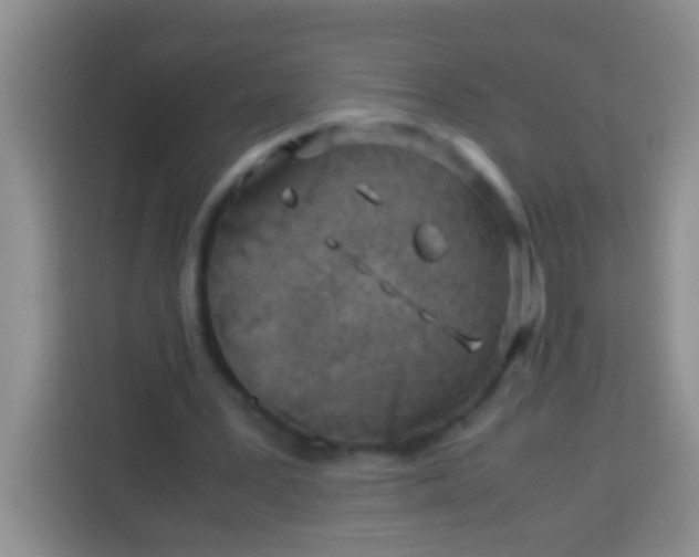 X0000113540387200910021354