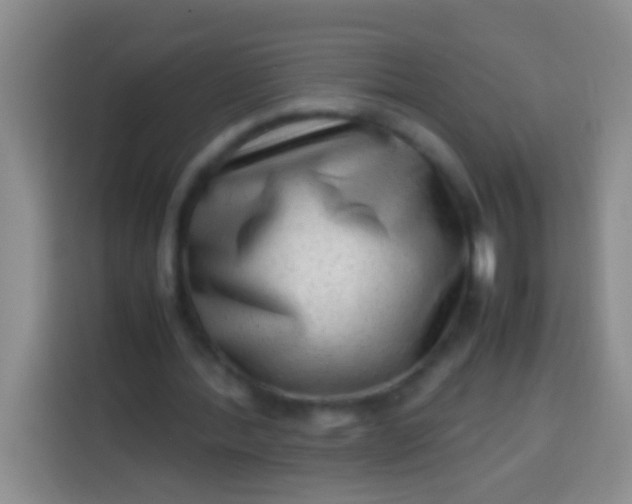 X0000113540388200910021354