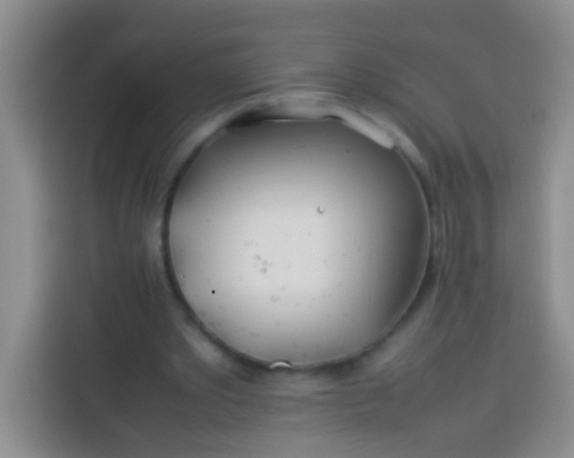 X0000113540389200910021354