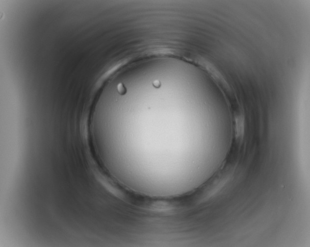 X0000113540390200910021354