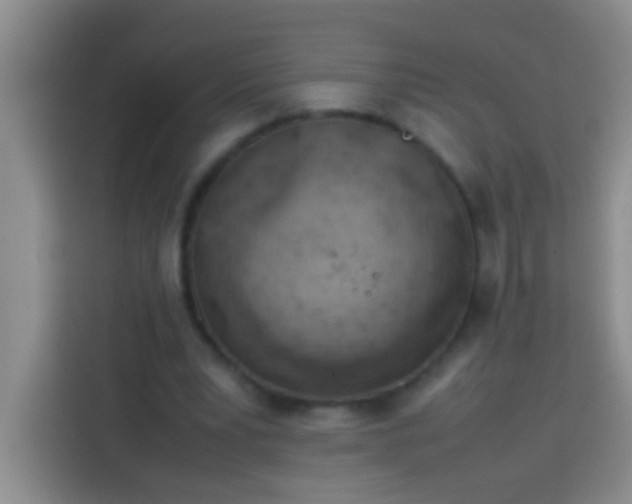 X0000113540391200910021354