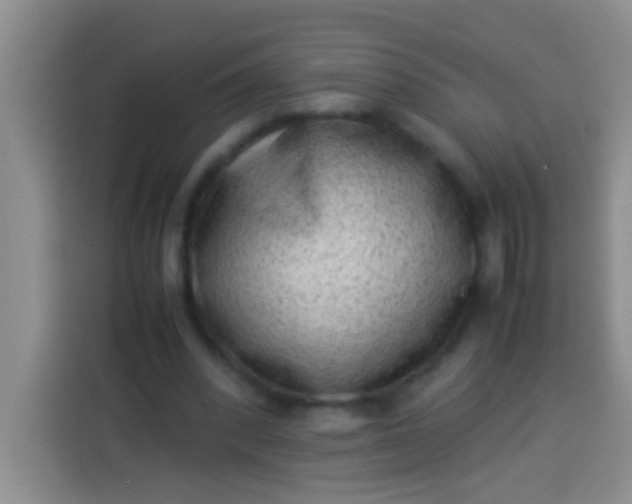 X0000113540392200910021354