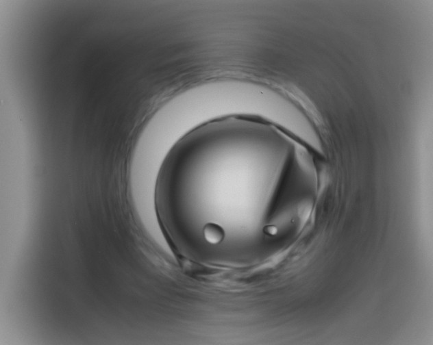 X0000113540393200910021354