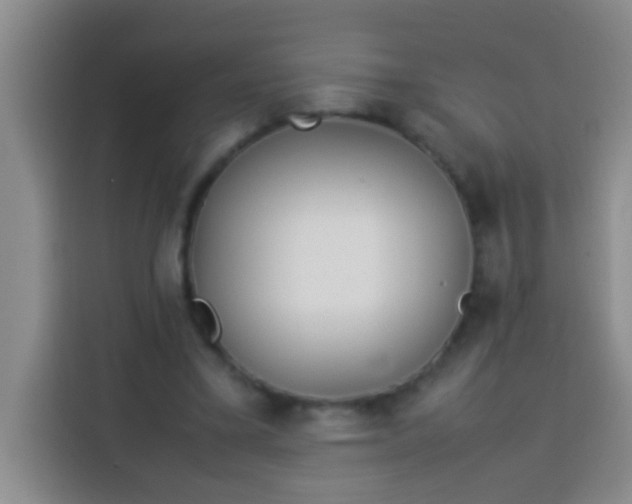 X0000113540395200910021354