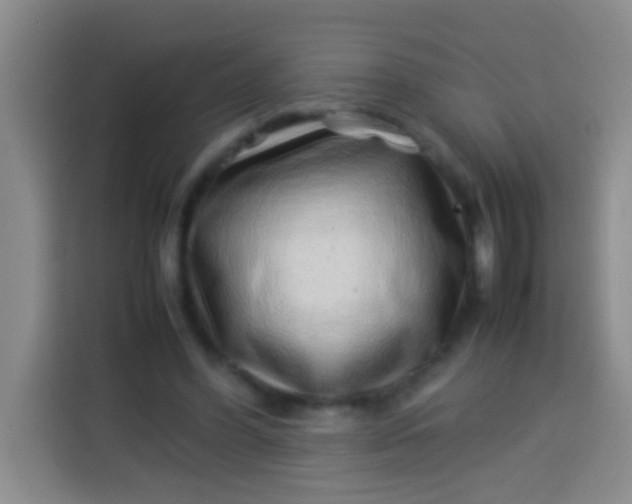 X0000113540396200910021354