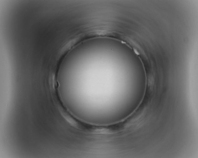 X0000113540397200910021354