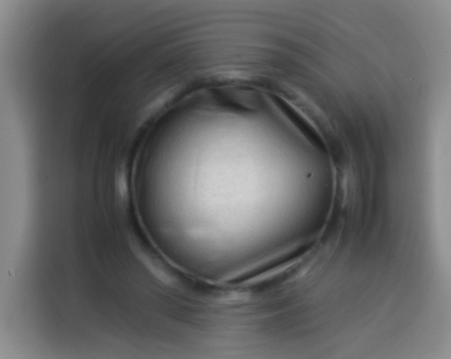 X0000113540398200910021353