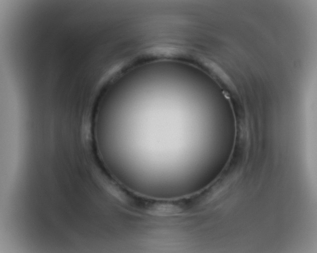 X0000113540399200910021353