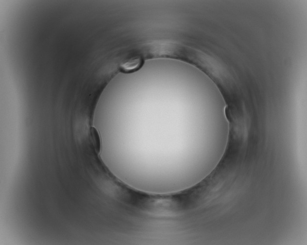 X0000113540401200910021353