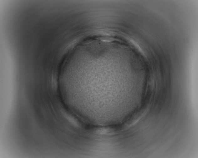 X0000113540402200910021353