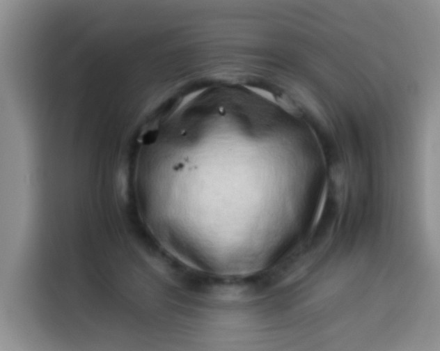 X0000113540404200910021353