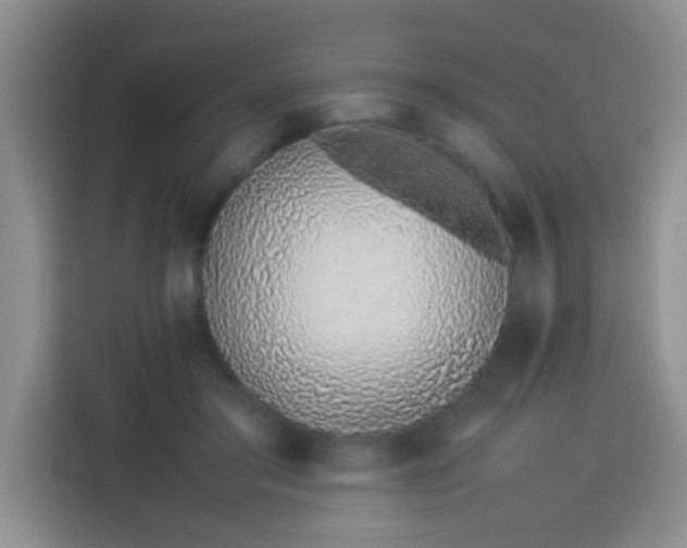 X0000113540405200910021353