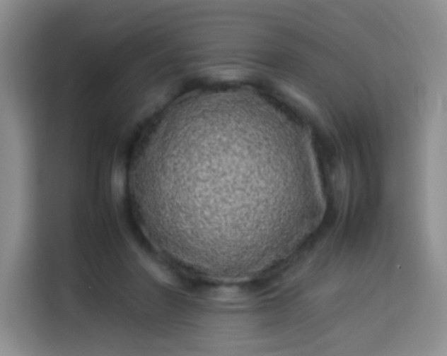 X0000113540406200910021353