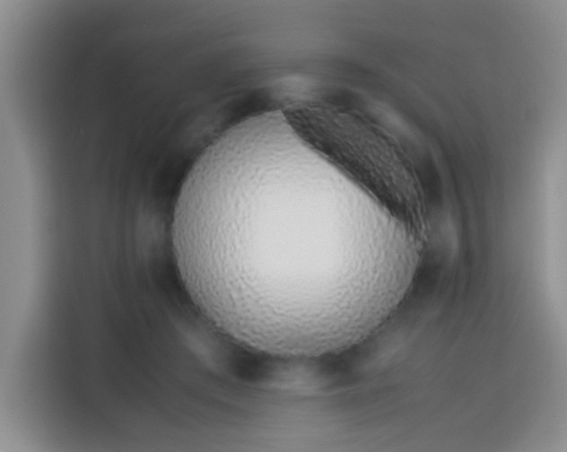 X0000113540409200910021353