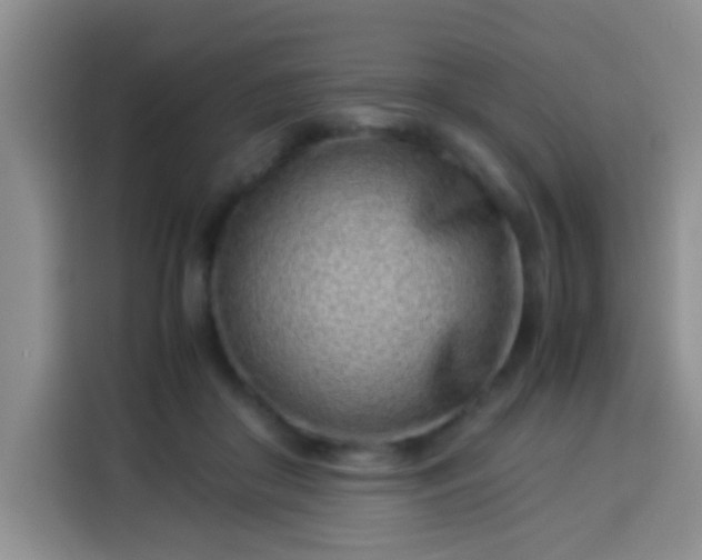 X0000113540410200910021353