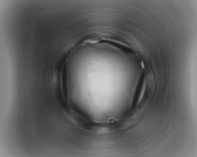 X0000113540412200910021353