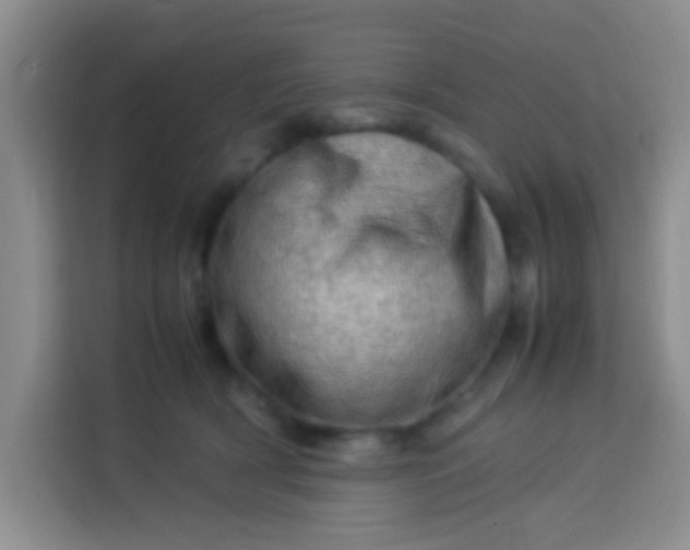 X0000113540418200910021353