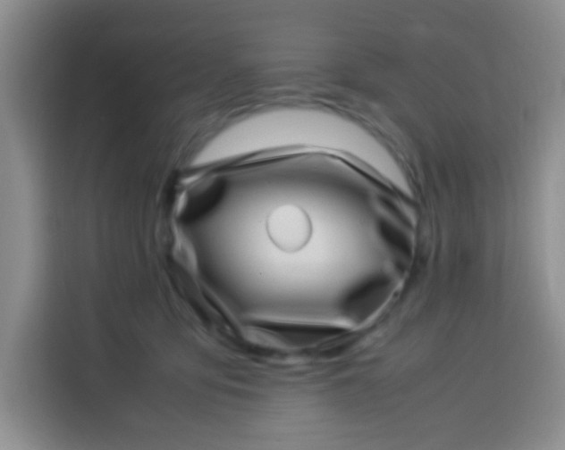 X0000113540419200910021353