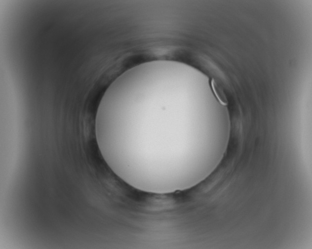 X0000113540421200910021353