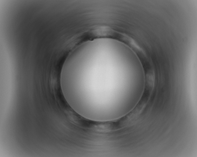 X0000113540422200910021353