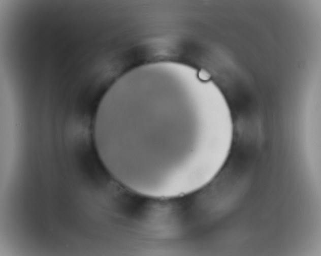 X0000113540423200910021353